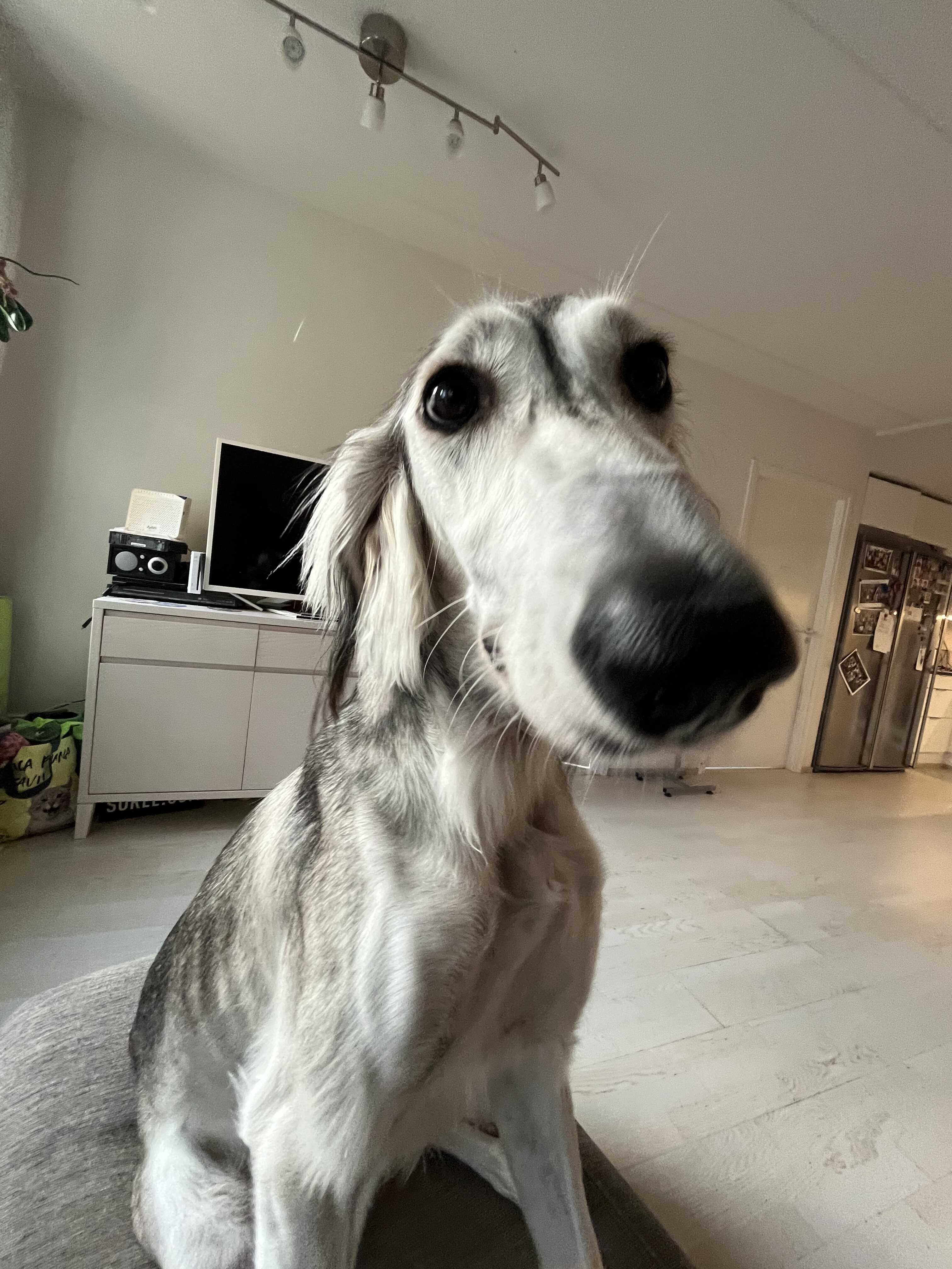 ruska